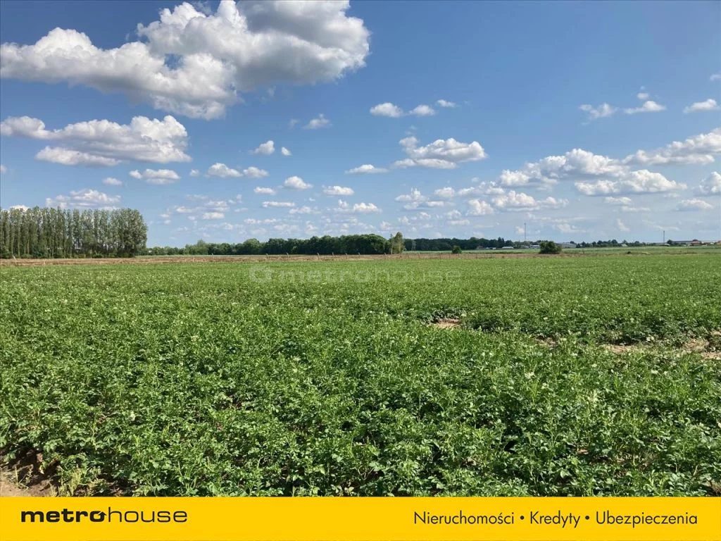 Działka 31 590,00 m², oferta nr , RUFA164, Umiastów