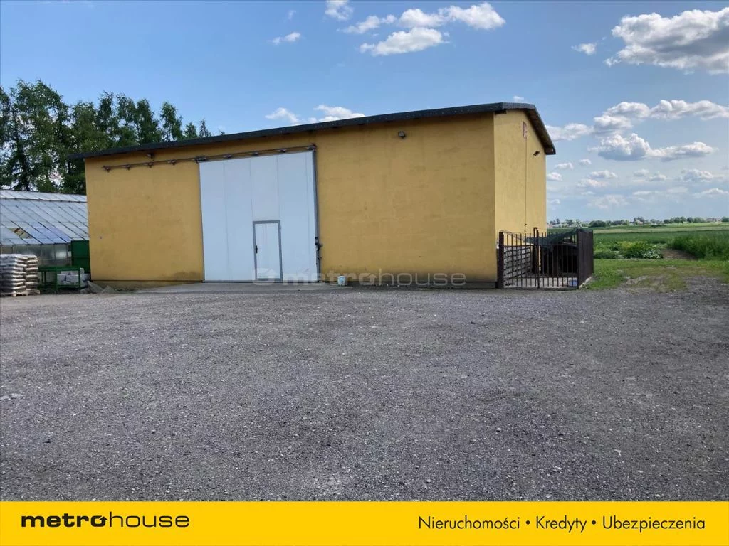 Działka 31 590,00 m², oferta nr , RUFA164, Umiastów