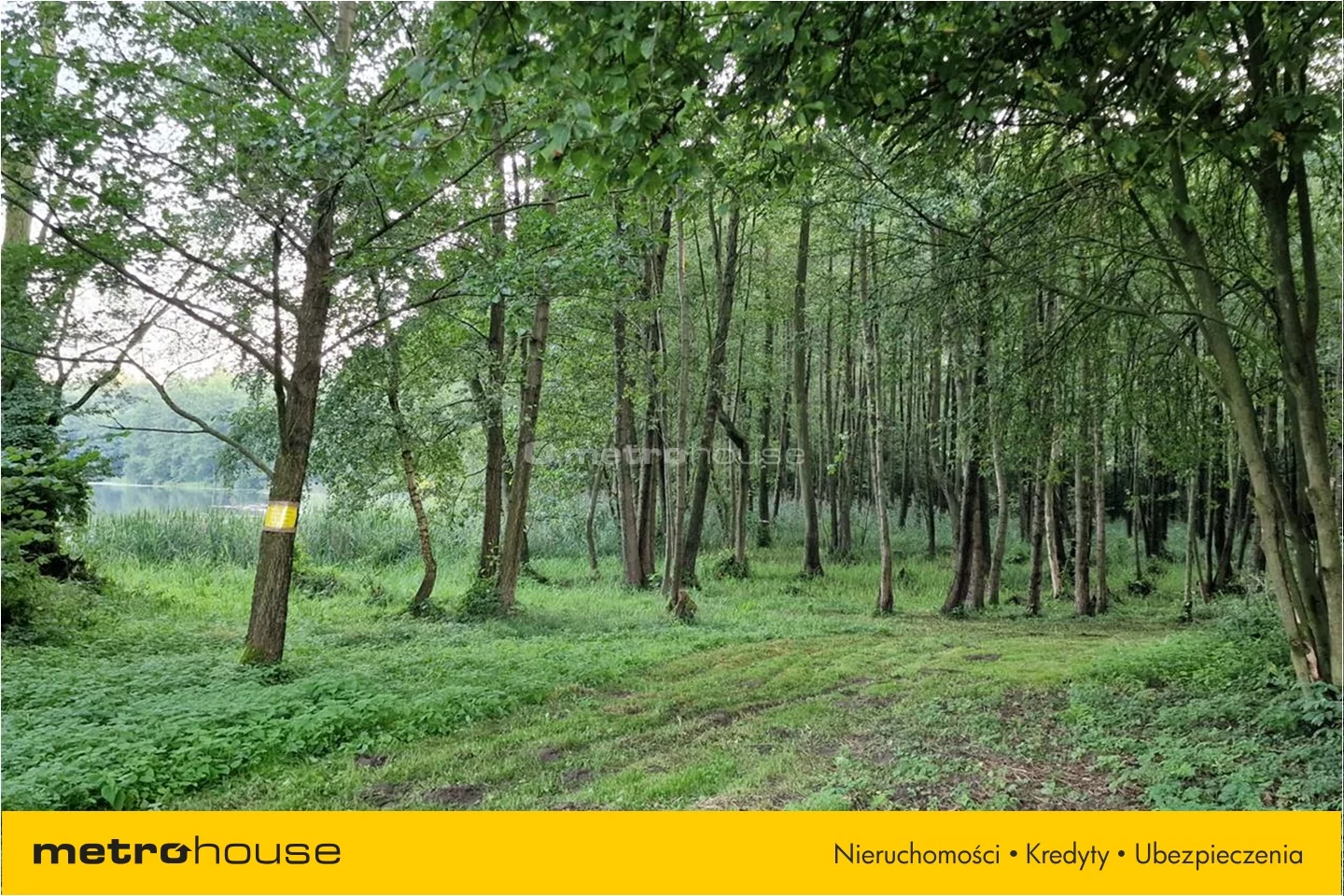 Działka 700,00 m², oferta nr , XERI310, Warpalice