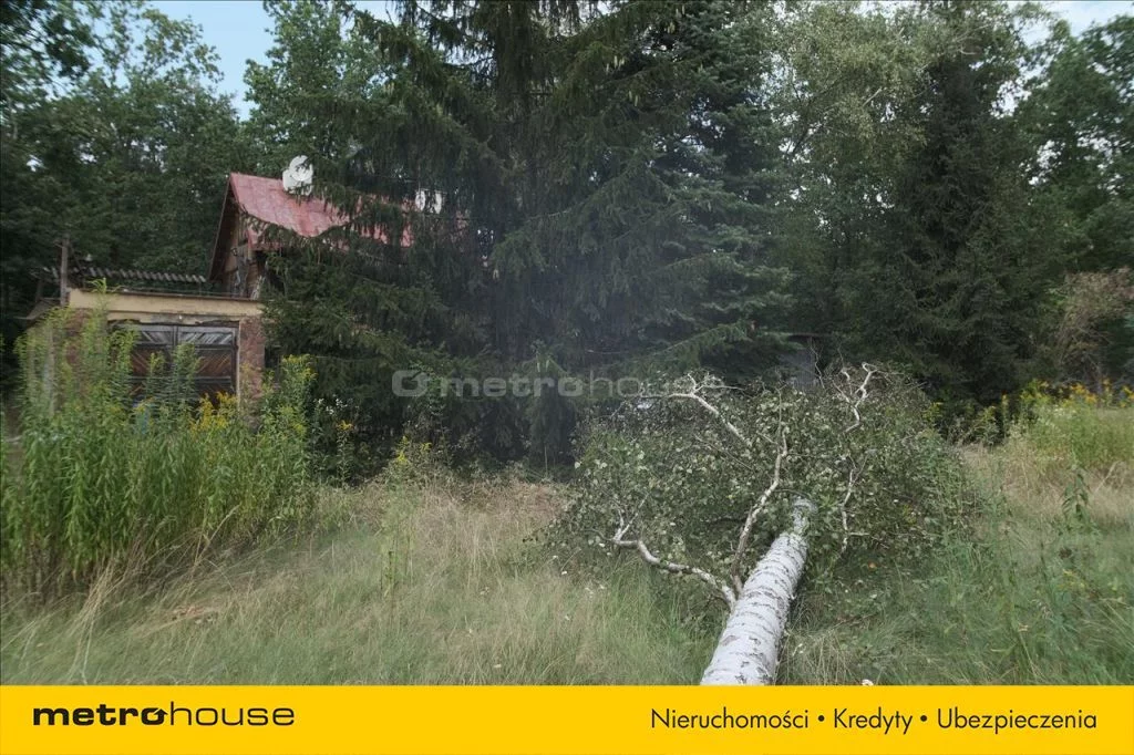 DOJE926 - zdjęcie nr 5