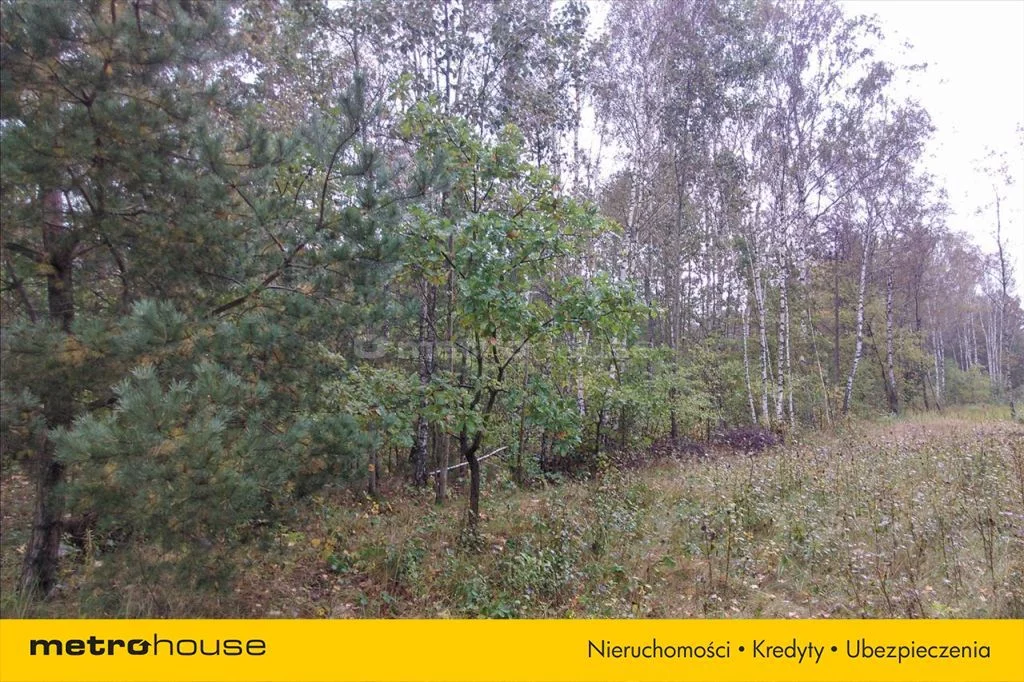 Działka 5 663,00 m², oferta nr , BYZI956, Warszawa, Rembertów, Rembertów