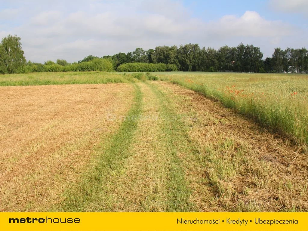 Działka 8 700,00 m², oferta nr , SESA422, Warszawa, Ursynów, Ursynów