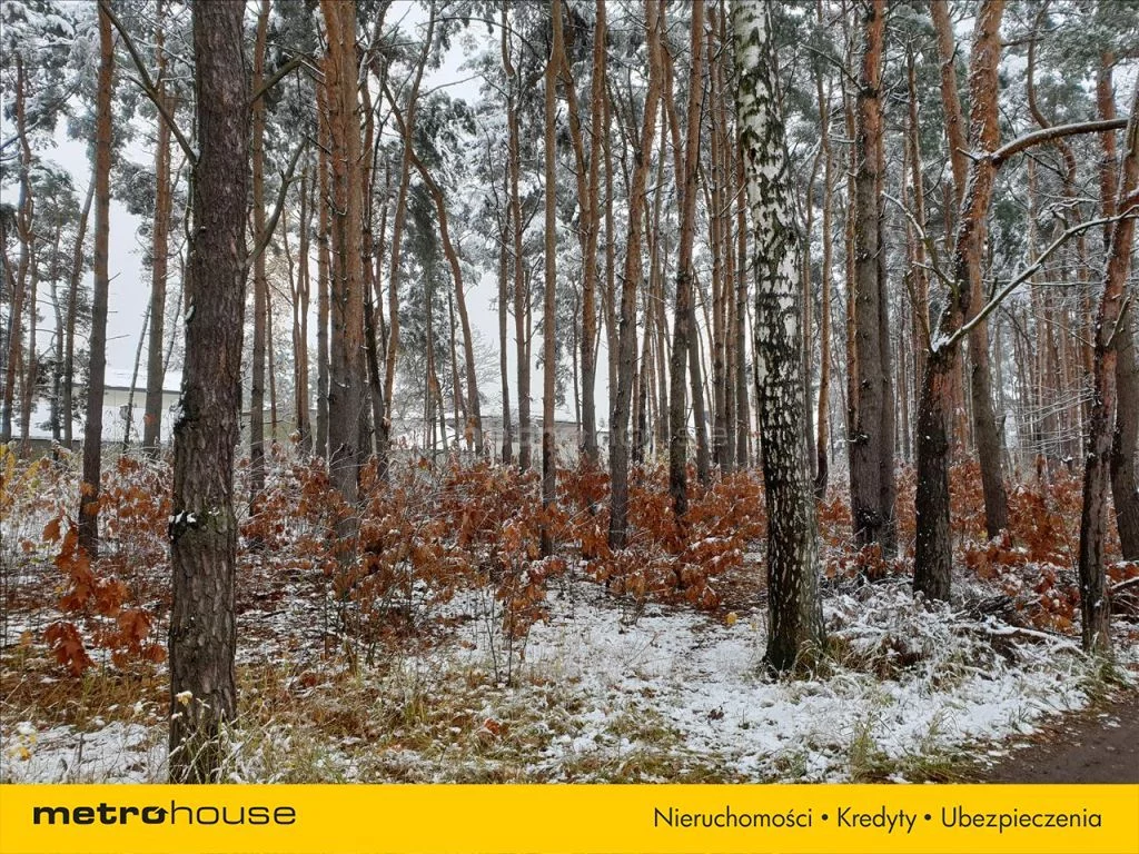 HUSA115 - zdjęcie nr 3