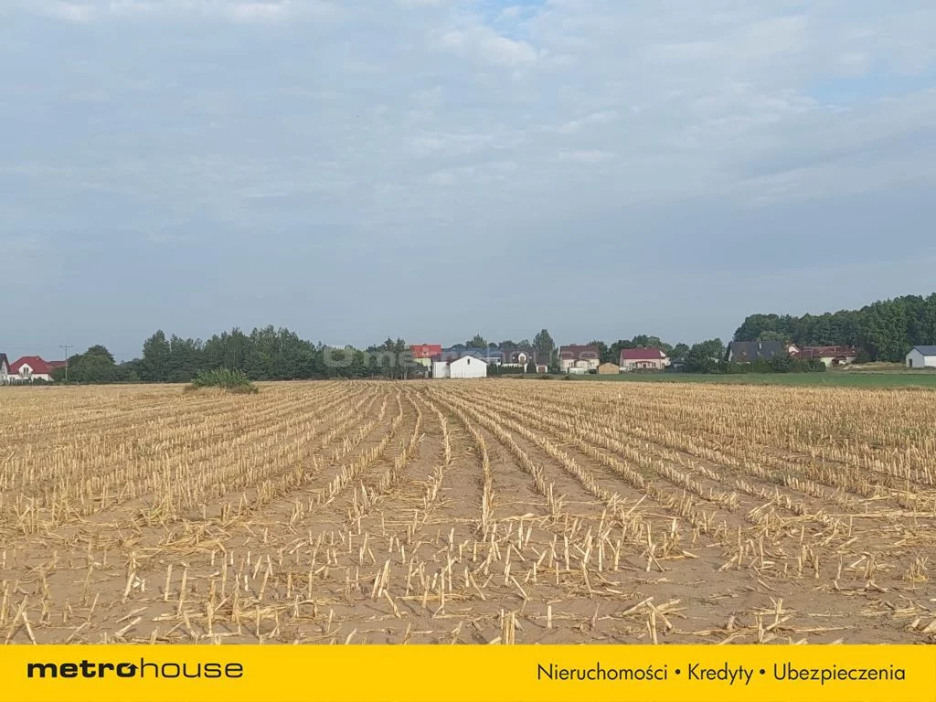 Działka 9 173,00 m², oferta nr , SGHURE144, Głogowo, Warszawska