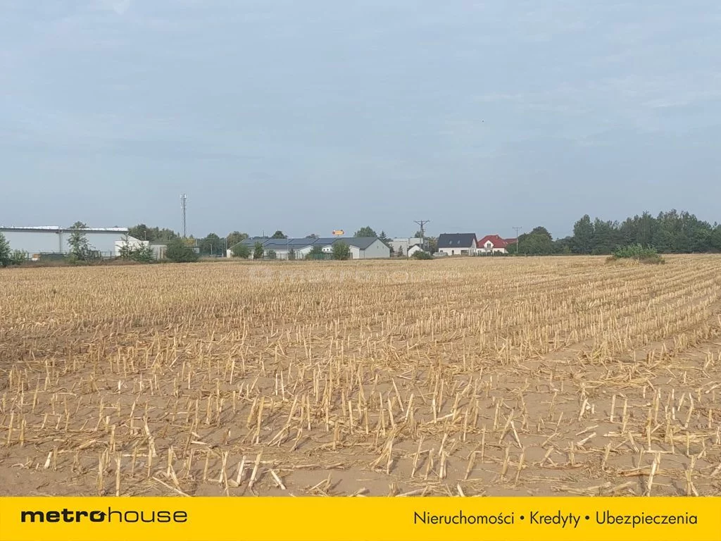Działka 9 173,00 m², oferta nr , SGHURE144, Głogowo, Warszawska
