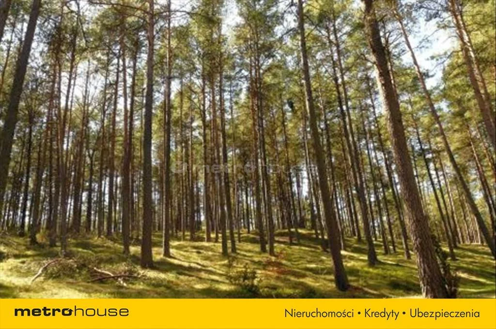 Działka 23 500,00 m², oferta nr , JOPA539, Wiele