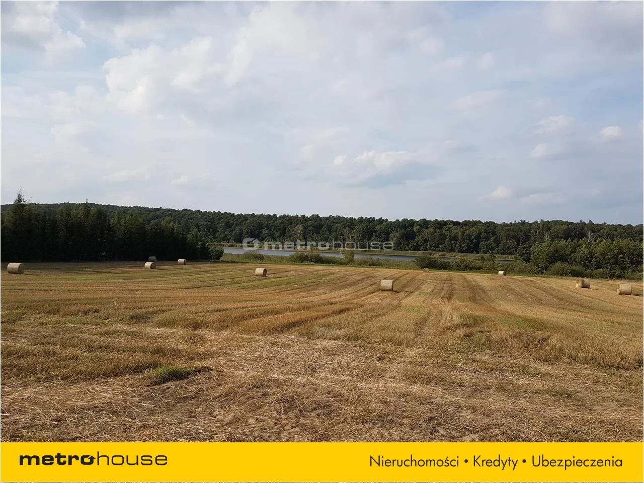 Działka 39 120,00 m², oferta nr , DOXU104, Wielka Wieś