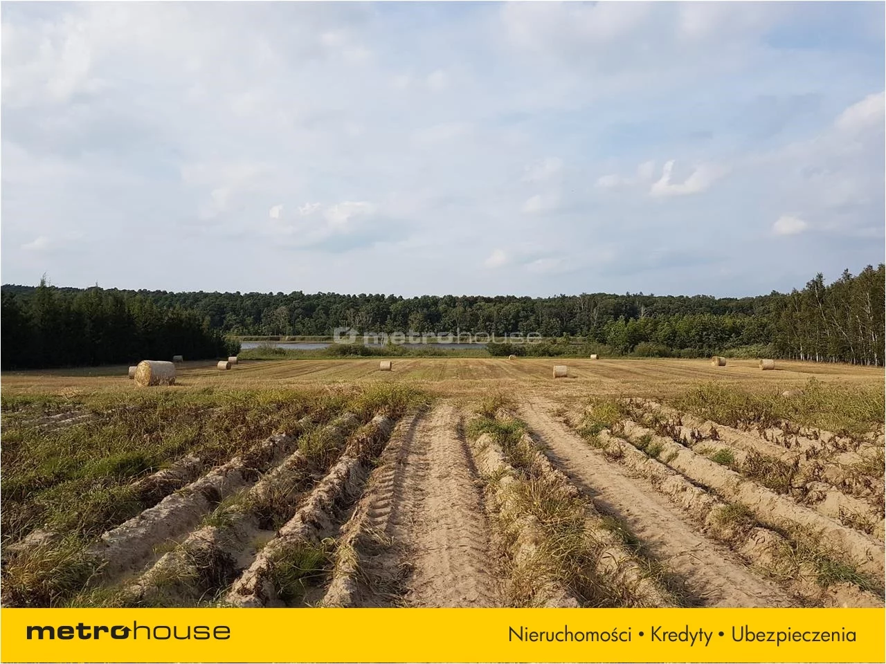Działka 39 120,00 m², oferta nr , DOXU104, Wielka Wieś