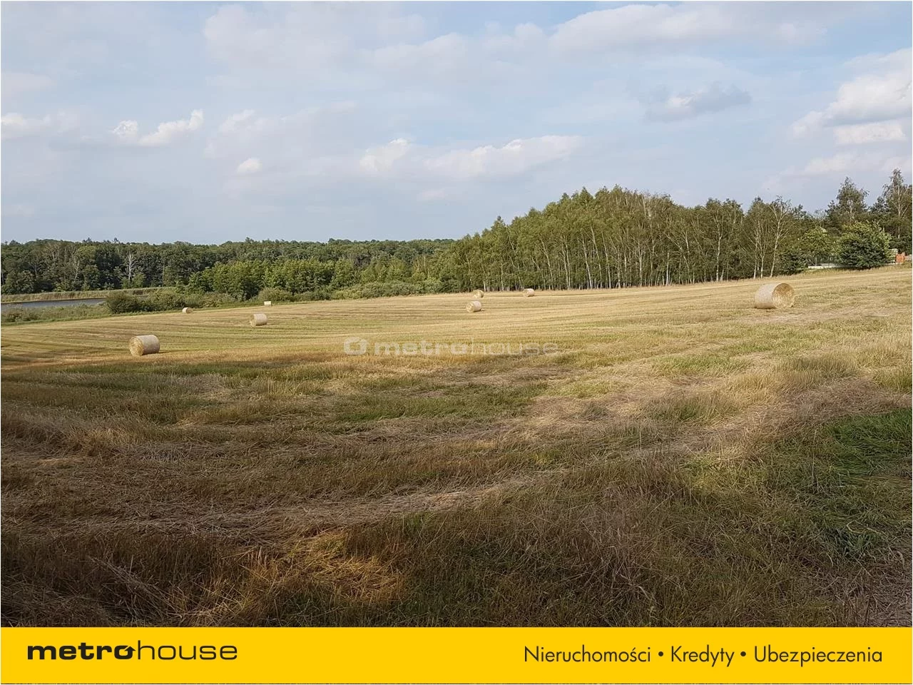 Działka 39 120,00 m², oferta nr , DOXU104, Wielka Wieś
