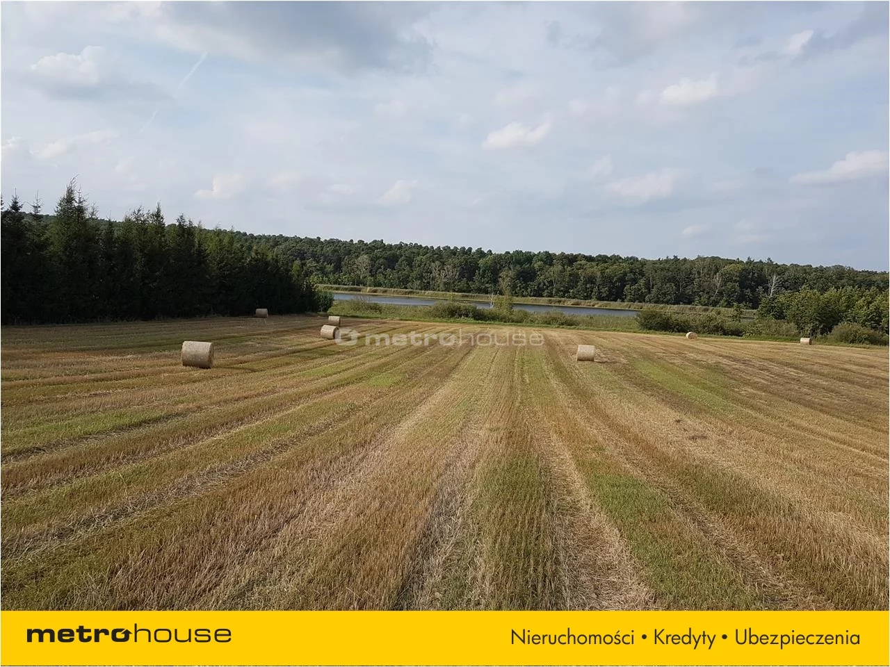 Działka 39 120,00 m², oferta nr , DOXU104, Wielka Wieś
