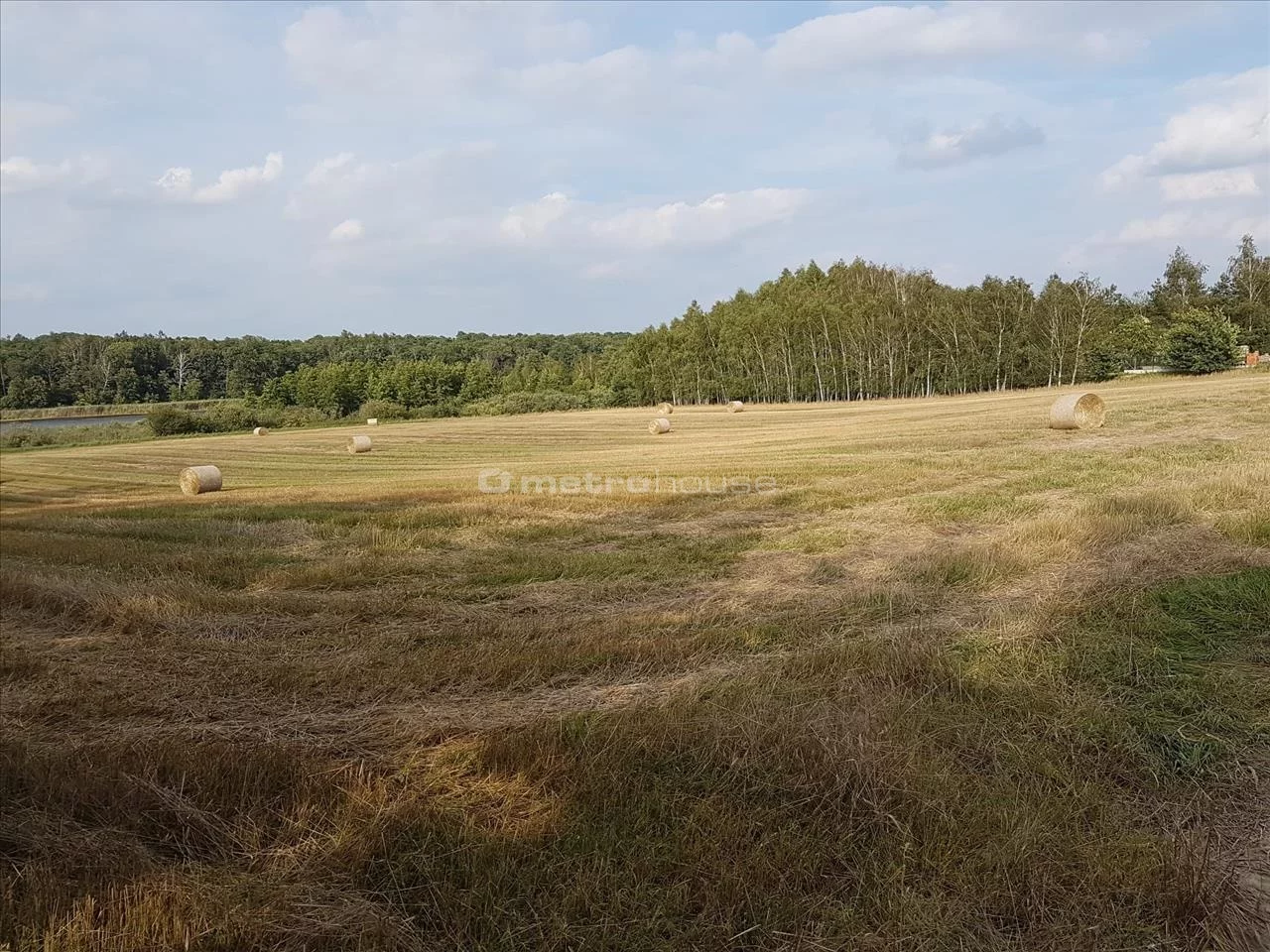 Działka 9 654,00 m², Wielka Wieś, Sprzedaż