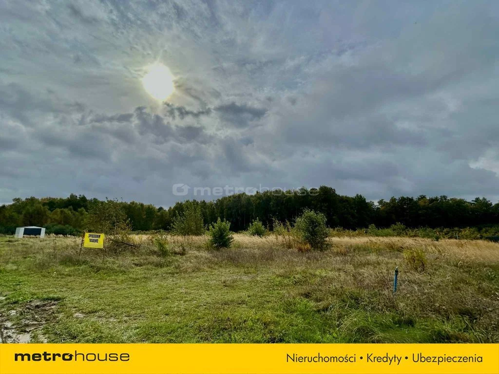 Działka 1 636,00 m², oferta nr , SGLARO671, Wielka Wieś
