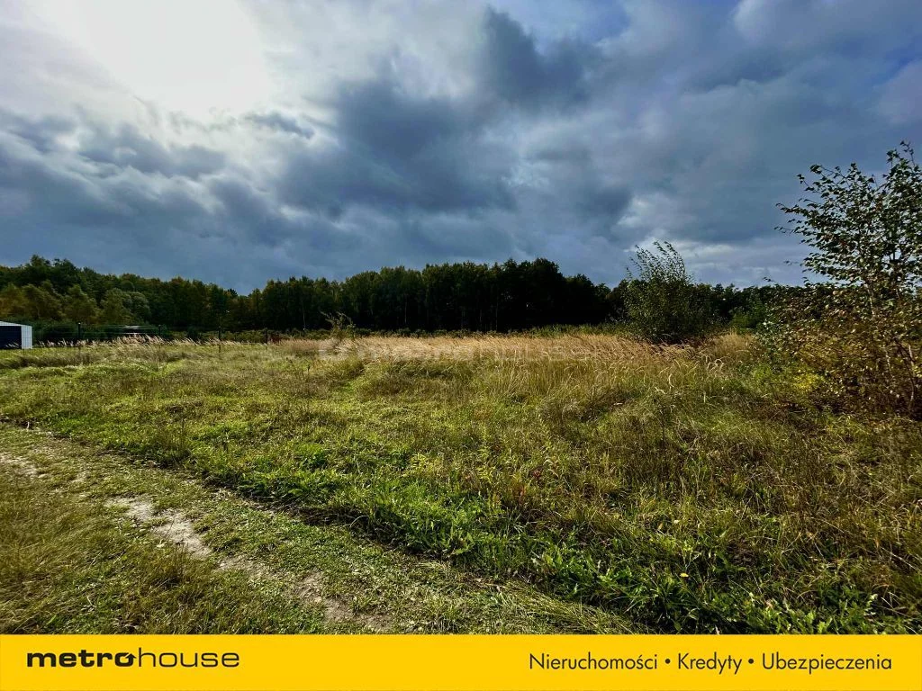 Działka 1 636,00 m², oferta nr , SGLARO671, Wielka Wieś
