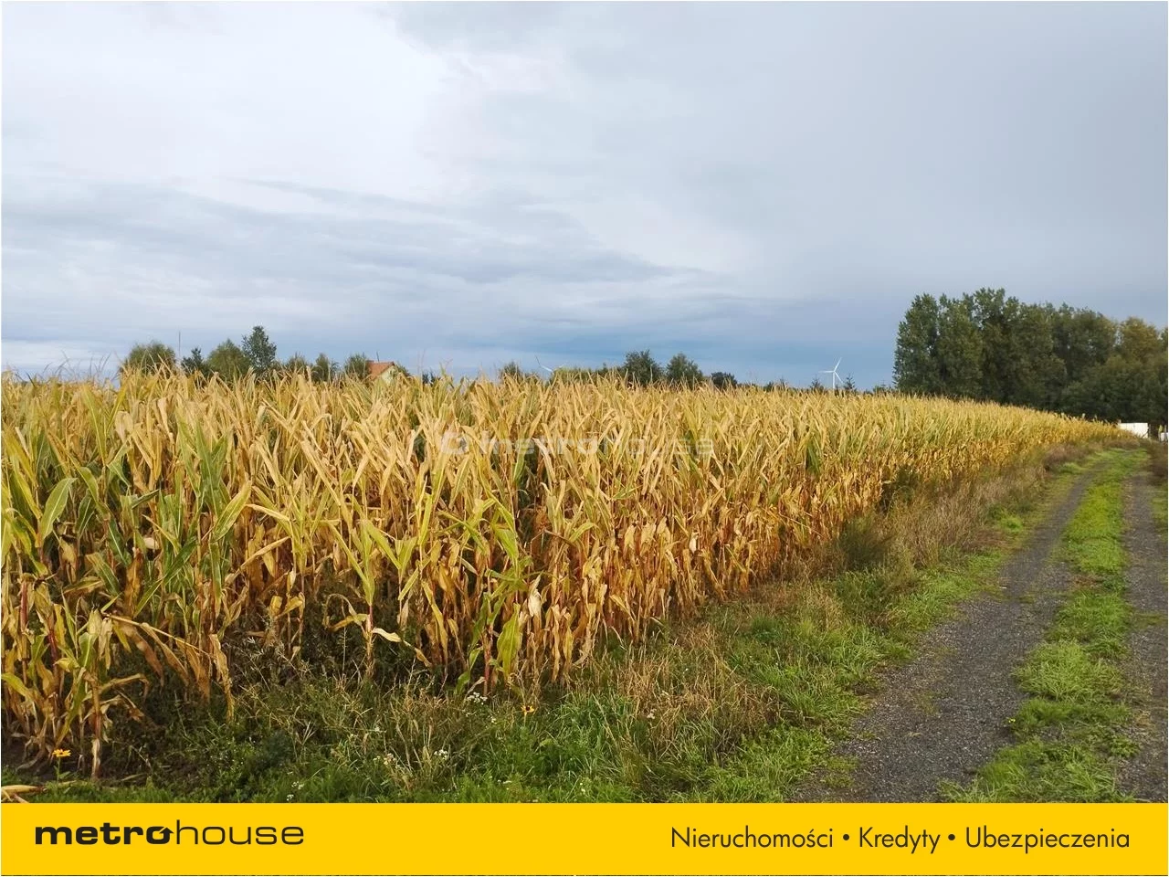 Działka 5 135,00 m², oferta nr , COJA137, Wielkie Radowiska