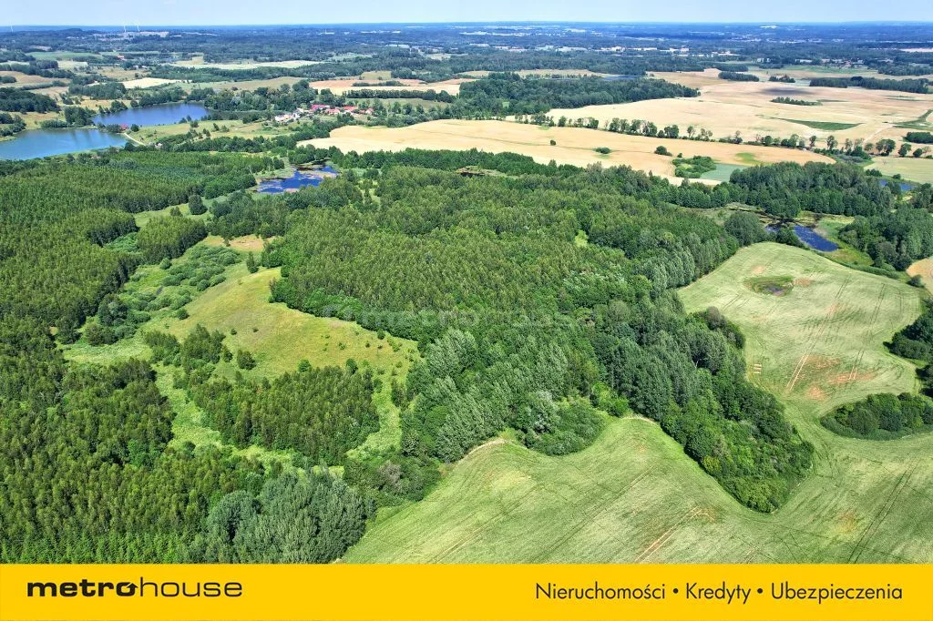 Działka 182 000,00 m², oferta nr , SGREPU540, Wilkasy