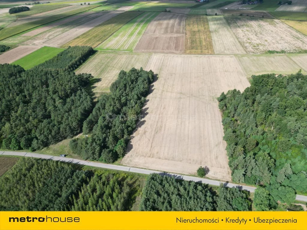 Działka 34 899,00 m², oferta nr , SGTIGO926, Wilkostowo