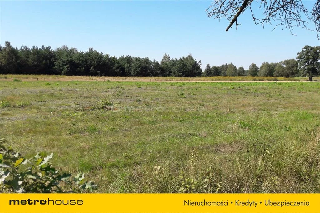 TADY682 - zdjęcie nr 3