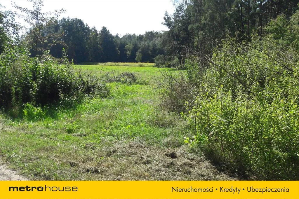 Działka 2 350,00 m², oferta nr , XECY766, Wilków Polski