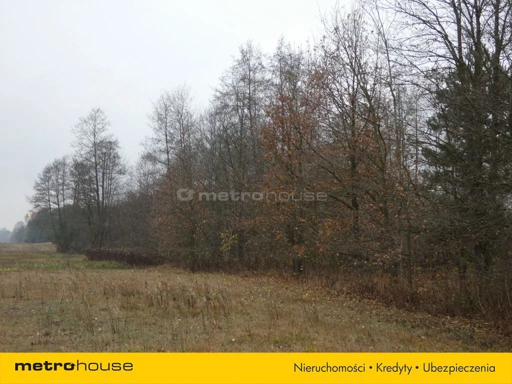 Działka 25 000,00 m², oferta nr , LAMU124, Wilków Polski