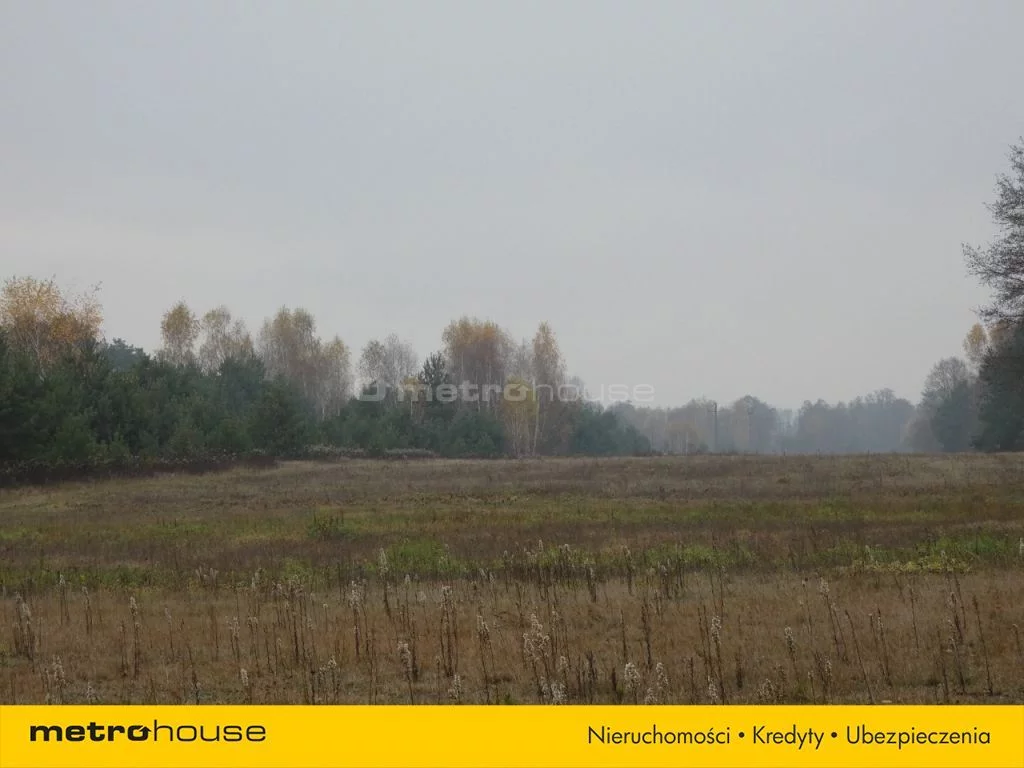 Działka 25 000,00 m², oferta nr , LAMU124, Wilków Polski