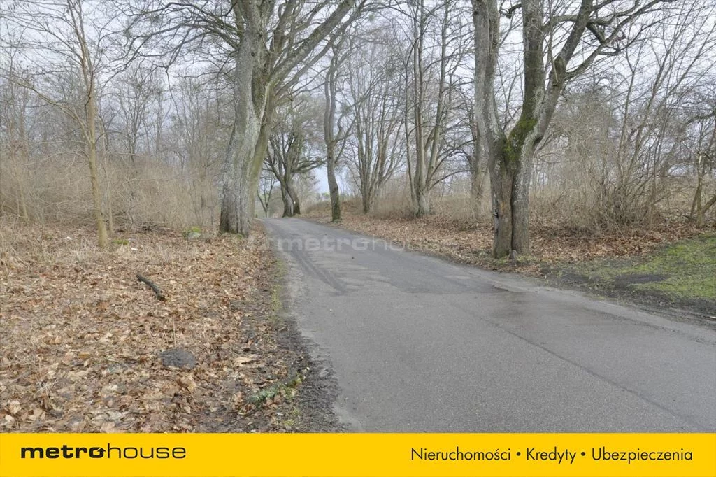 Działka 5 600,00 m², oferta nr , GUJY912, Witramowo