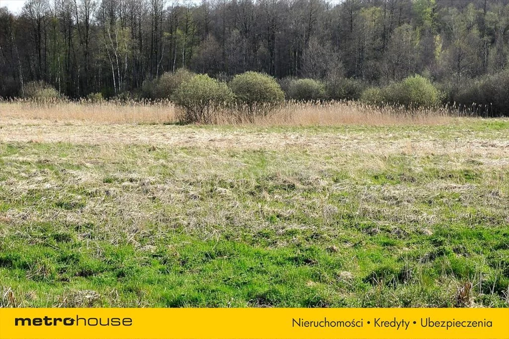 Działka 10 900,00 m², oferta nr , TANI766, Witramowo