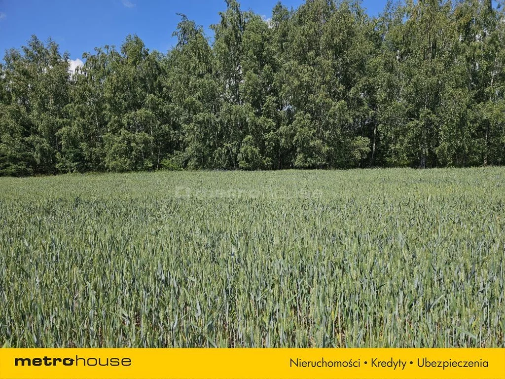 Działka 8 967,00 m², oferta nr , SGTETY344, Władysławów
