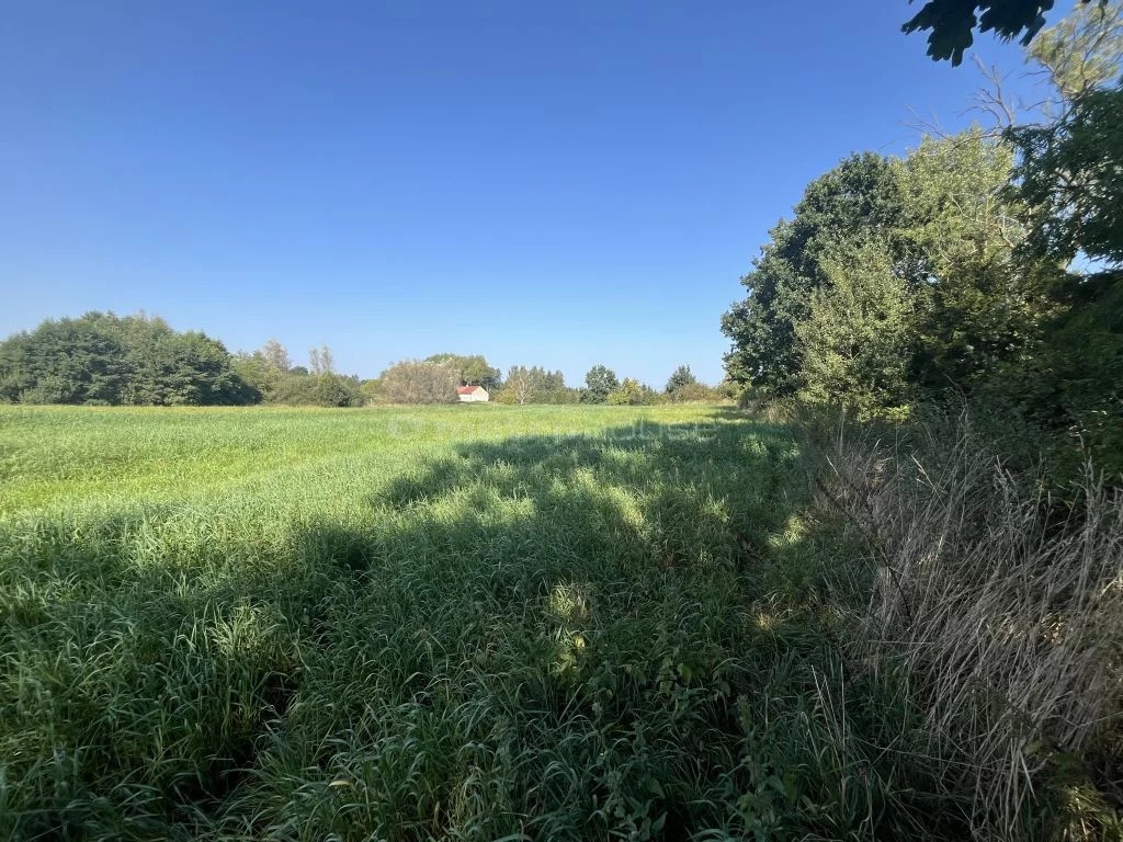 Działka 1 013,00 m², oferta nr , SGSIMI356, Włodarka