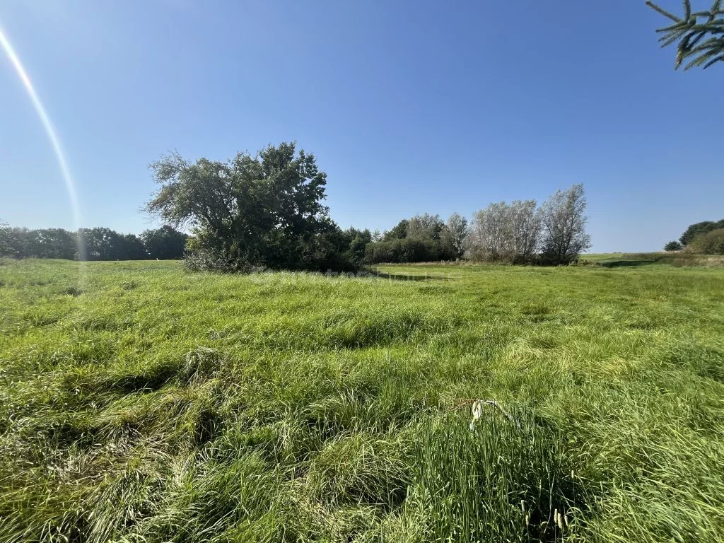Działka 1 016,00 m², oferta nr , SGLOPA510, Włodarka