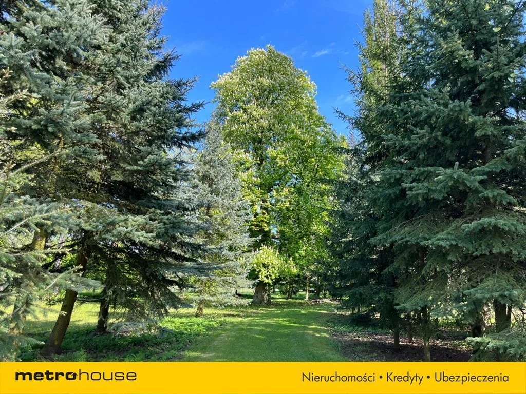 Działka 25 000,00 m², oferta nr , SGDEVA418, Wodziczna