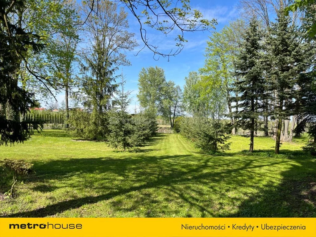 Działka 25 000,00 m², oferta nr , SGDEVA418, Wodziczna