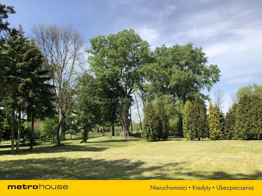 Działka 25 000,00 m², oferta nr , SGDEVA418, Wodziczna
