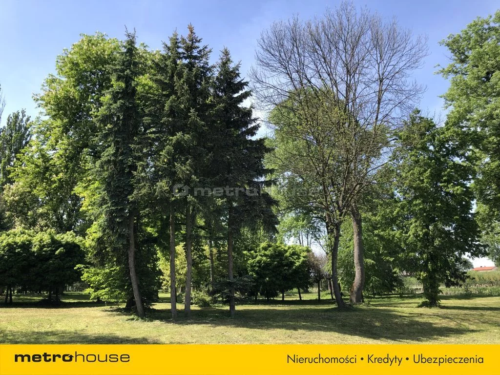 Działka 25 000,00 m², oferta nr , SGDEVA418, Wodziczna