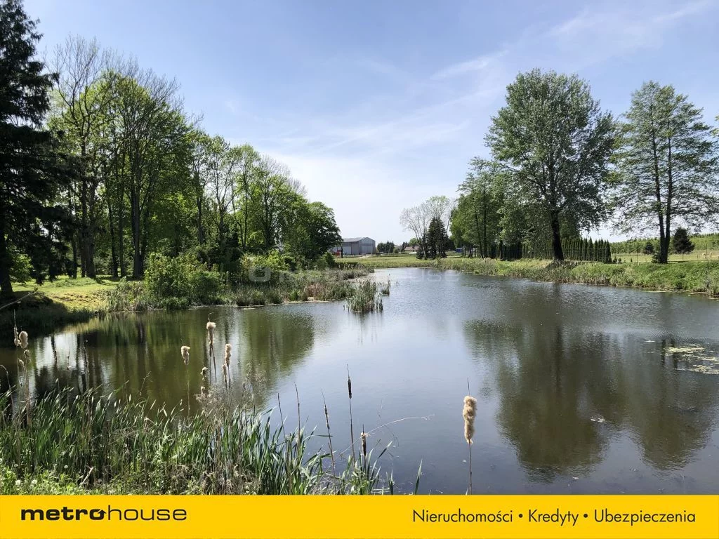 Działka 25 000,00 m², oferta nr , SGDEVA418, Wodziczna