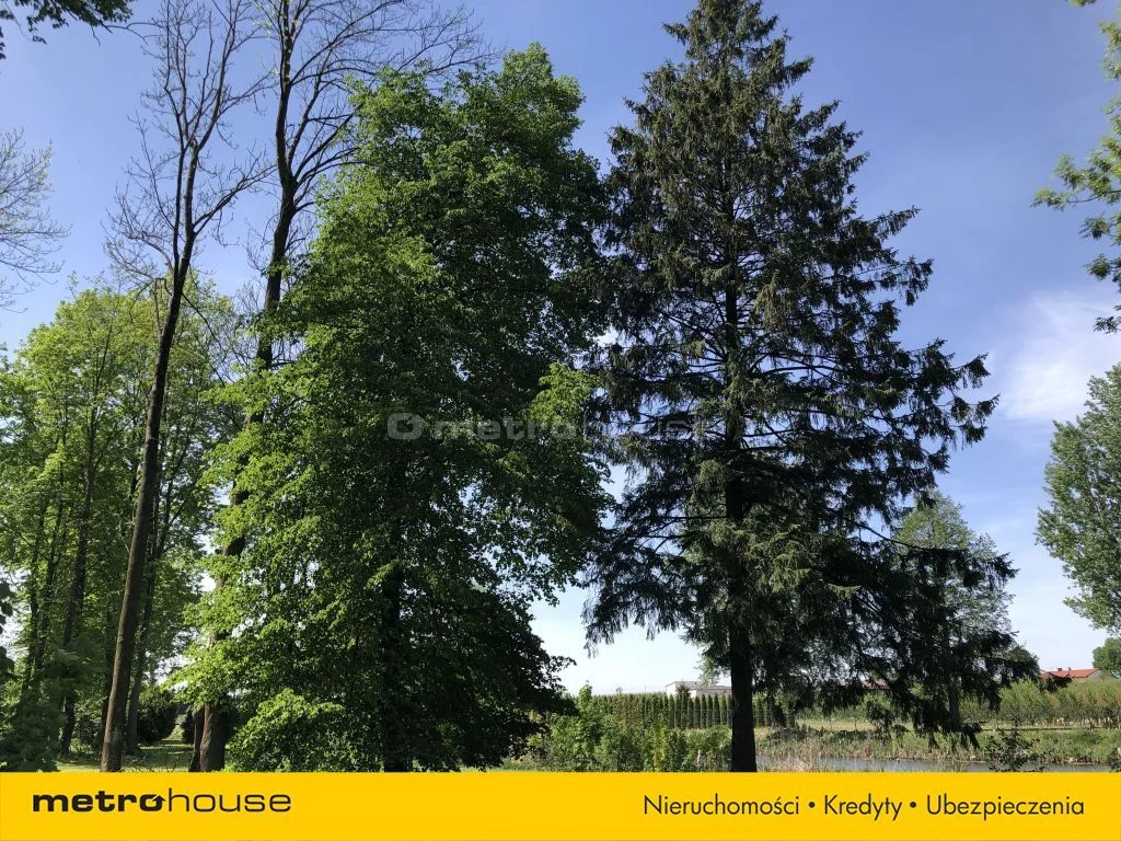Działka 25 000,00 m², oferta nr , SGDEVA418, Wodziczna