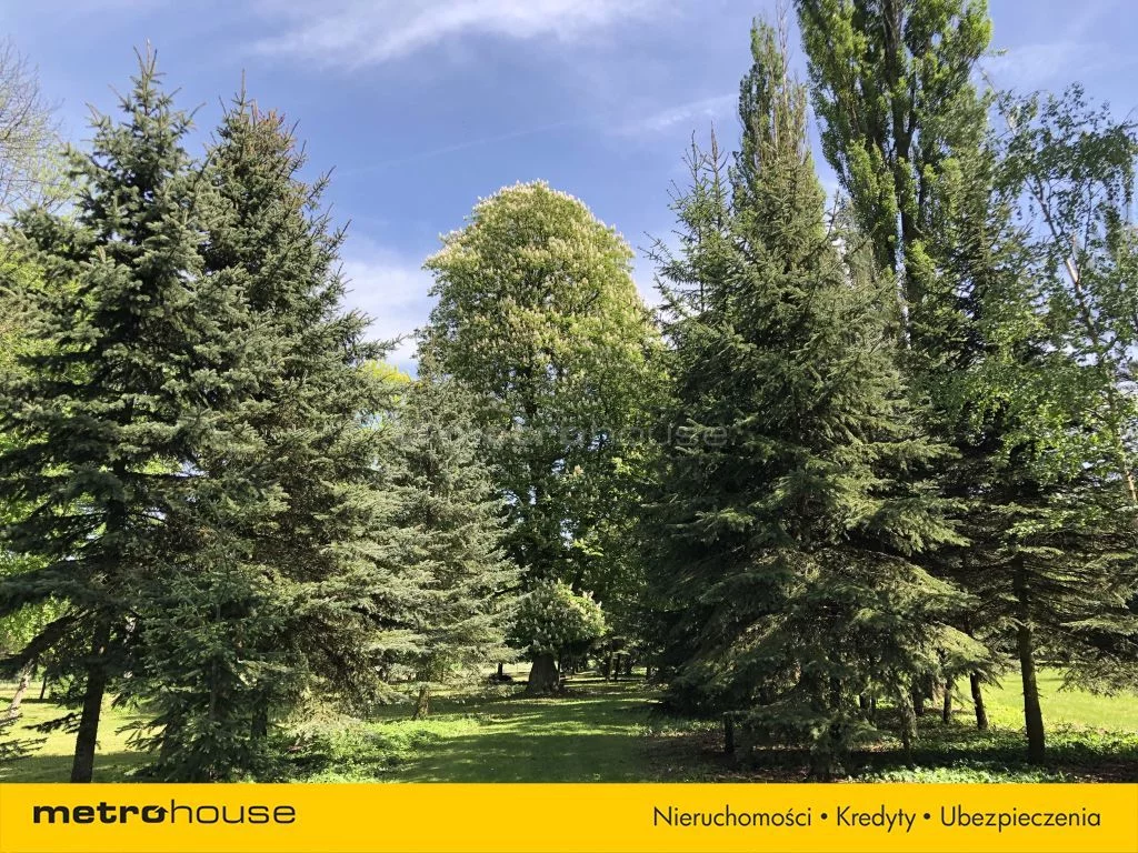 Działka 25 000,00 m², oferta nr , SGDEVA418, Wodziczna