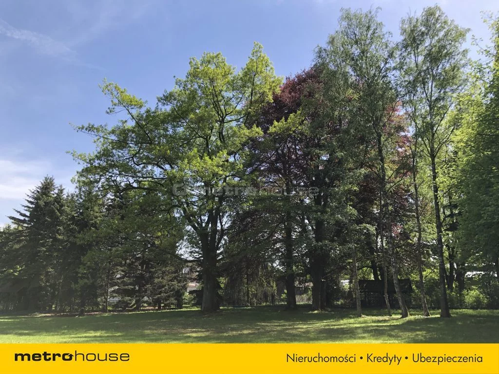 Działka 25 000,00 m², oferta nr , SGDEVA418, Wodziczna