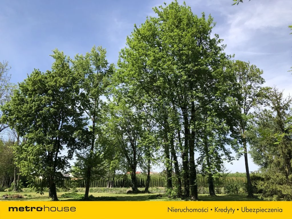 Działka 25 000,00 m², oferta nr , SGDEVA418, Wodziczna