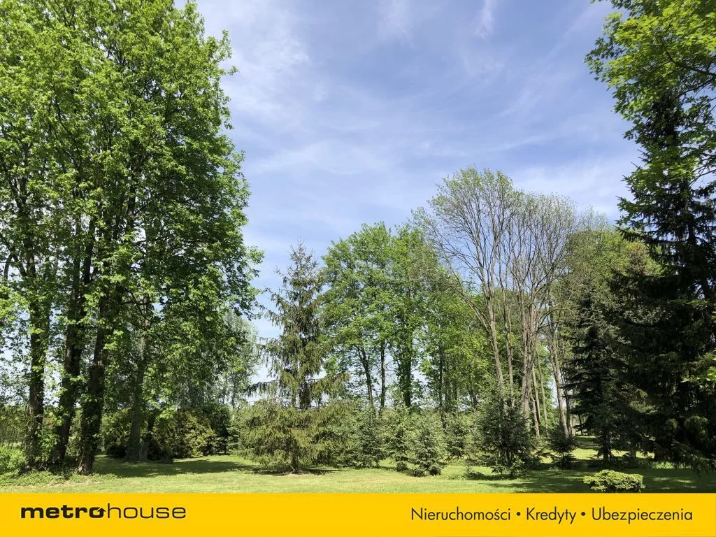 Działka 25 000,00 m², oferta nr , SGDEVA418, Wodziczna