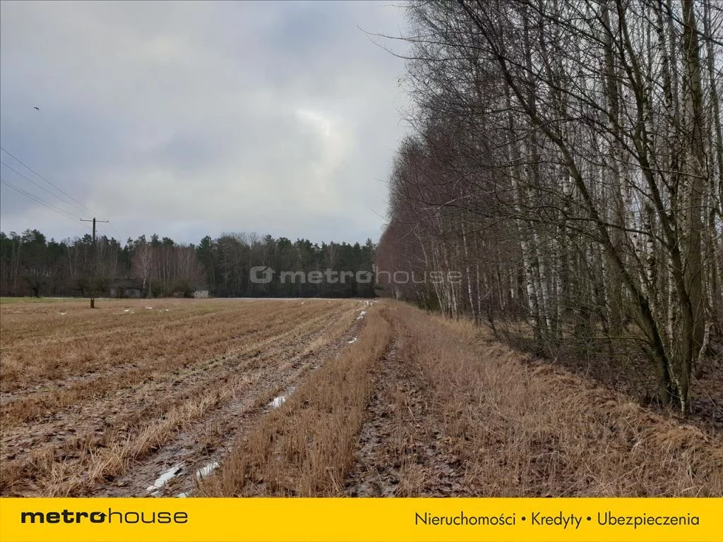 Działka 14 500,00 m², oferta nr , FADU990, Wojnów