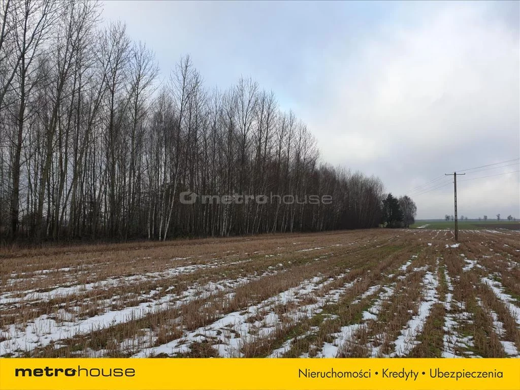 Działka 14 500,00 m², oferta nr , FADU990, Wojnów