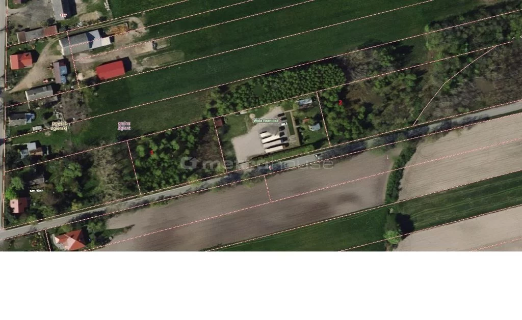Działka 7 325,00 m², oferta nr , SGNEMU924, Wola Branicka