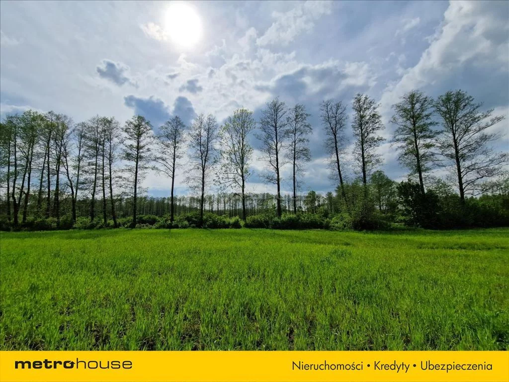 Działka 19 930,00 m², oferta nr , KAWA668, Wólka Dobryńska