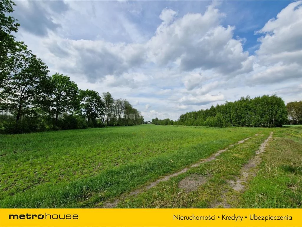 Działka 19 930,00 m², oferta nr , KAWA668, Wólka Dobryńska