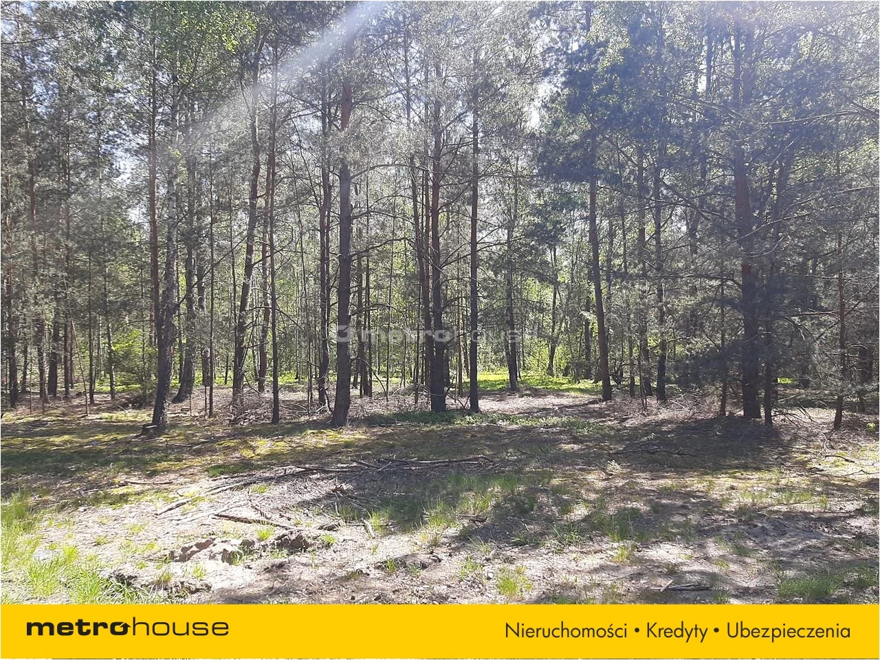 Działka 940 000,00 m², oferta nr , NACO343, Wólka Kościeniewicka