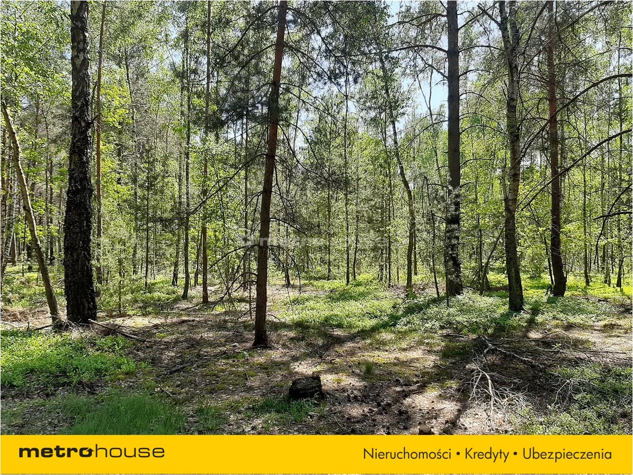 Działka 940 000,00 m², oferta nr , NACO343, Wólka Kościeniewicka