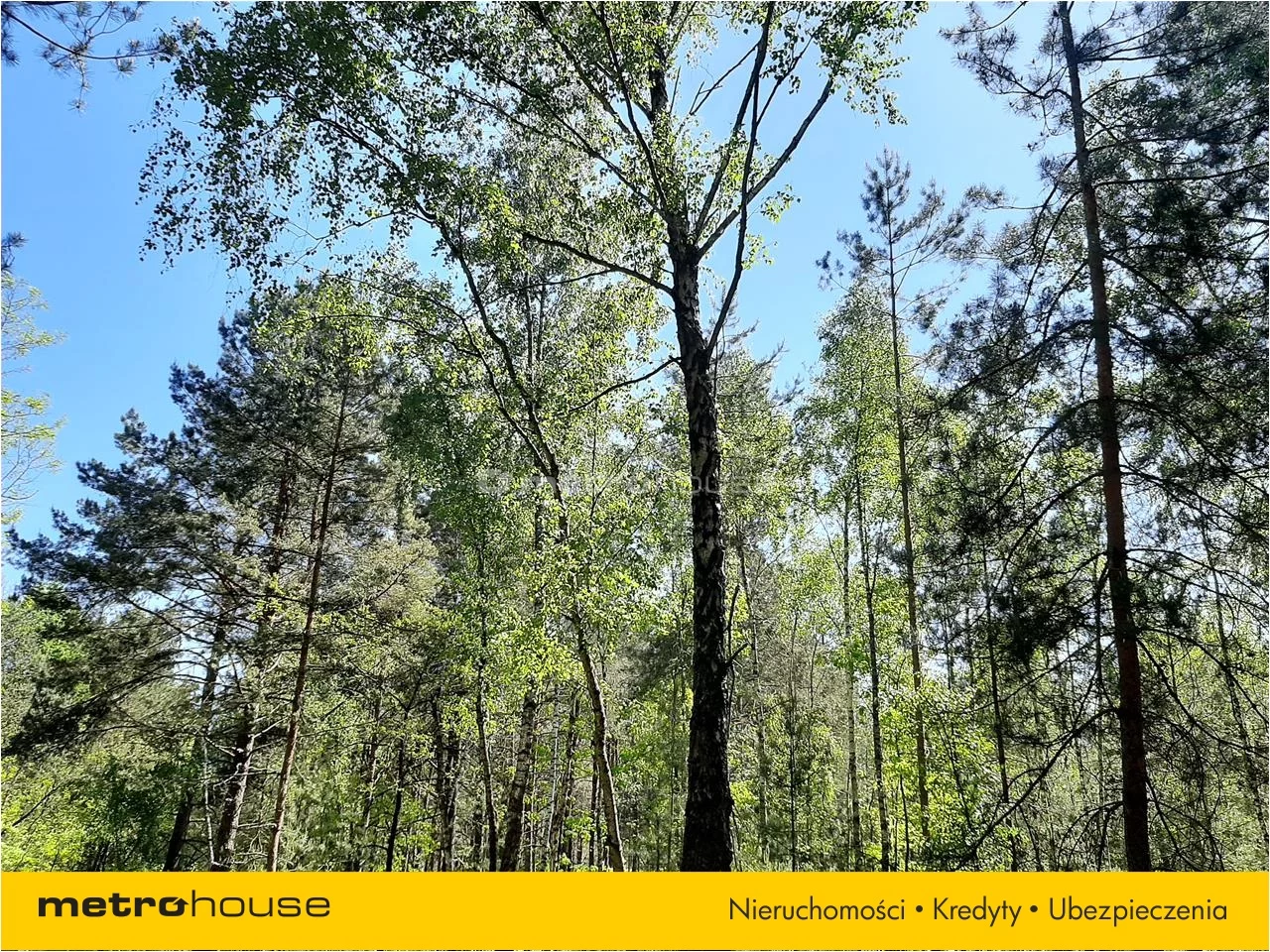 Działka 940 000,00 m², oferta nr , NACO343, Wólka Kościeniewicka