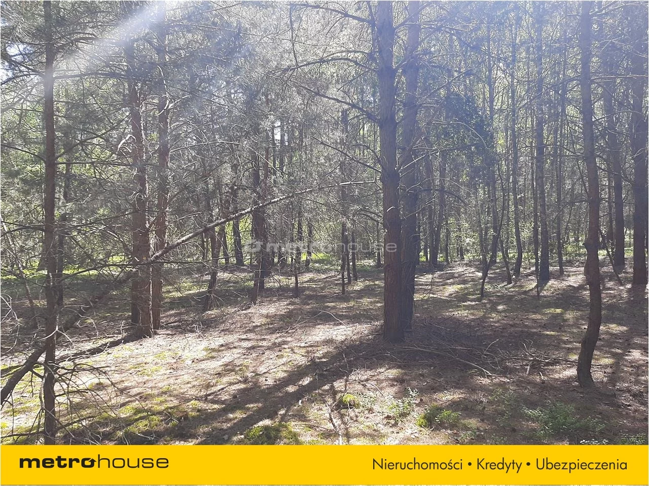 Działka 940 000,00 m², oferta nr , NACO343, Wólka Kościeniewicka