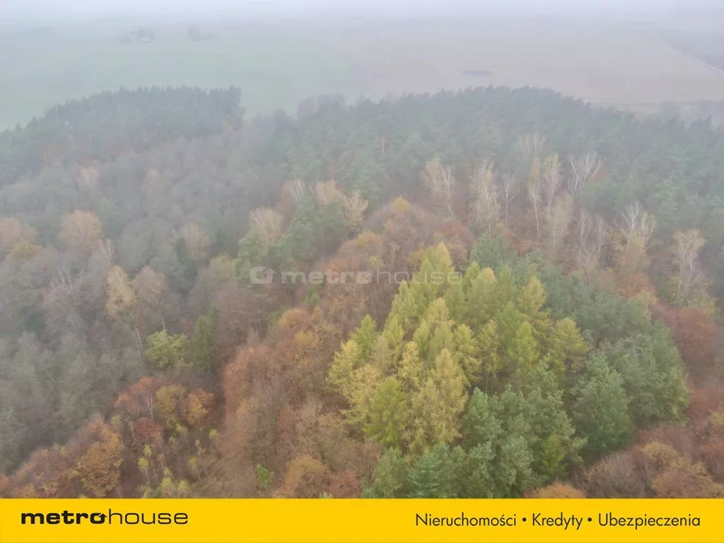 Działka 42 864,00 m², oferta nr , SGBIZO938, Wonna