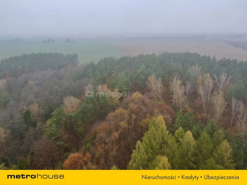 Działka 42 864,00 m², oferta nr , SGBIZO938, Wonna
